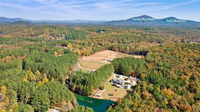 drone / aerial view featuring a wooded view and a mountain view