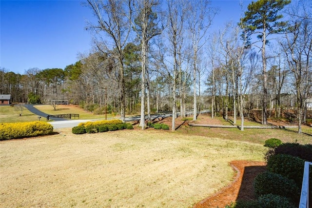 surrounding community featuring a lawn and dirt driveway