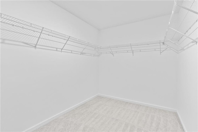 3660 Cattle Field Xing, Loganville, GA 30052 - walk in closet featuring carpet flooring