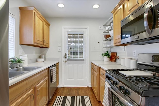 kitchen featuring dark hardwood / wood-style flooring, sink, stainless steel appliances, and light brown cabinetry