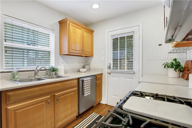 kitchen featuring dishwasher, light wood-type flooring, a healthy amount of sunlight, and sink