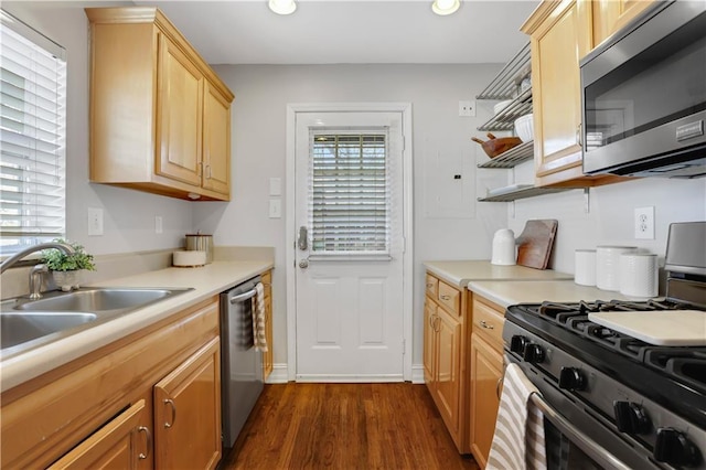 kitchen featuring appliances with stainless steel finishes, sink, light brown cabinetry, and dark hardwood / wood-style floors