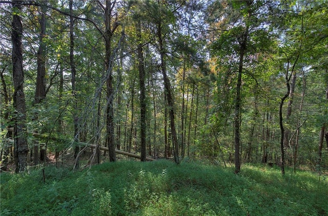 1038 Astro Ct, Ranger GA, 30734 land for sale