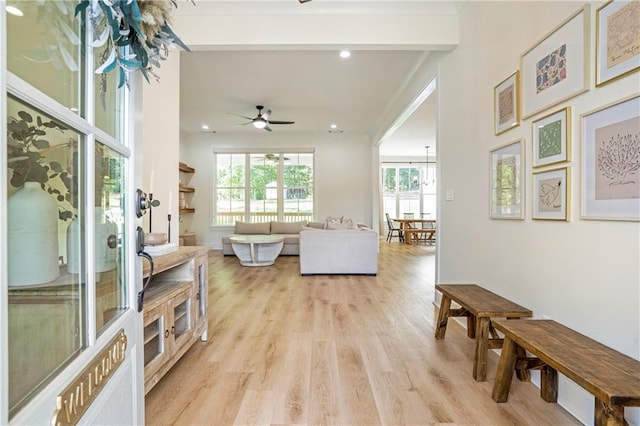 living room featuring ceiling fan, beam ceiling, and light hardwood / wood-style flooring