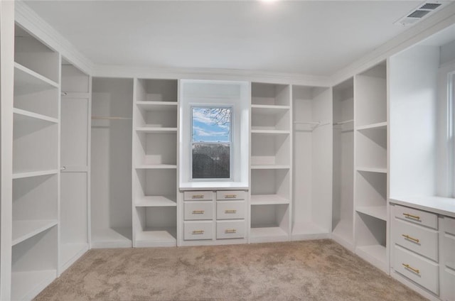 walk in closet with visible vents and carpet floors