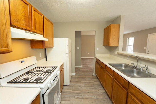 kitchen with under cabinet range hood, white appliances, a sink, light countertops, and brown cabinets