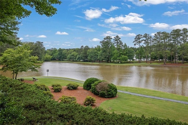 3443 Lathenview Ct, Alpharetta, GA 30004 - water view