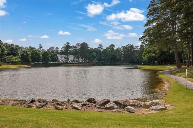 3443 Lathenview Ct, Alpharetta, GA 30004 - water view