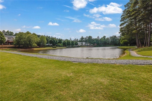 3443 Lathenview Ct, Alpharetta, GA 30004 - water view