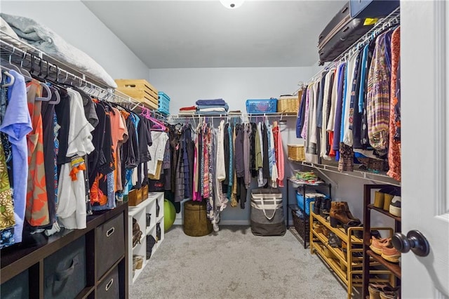 spacious closet with carpet