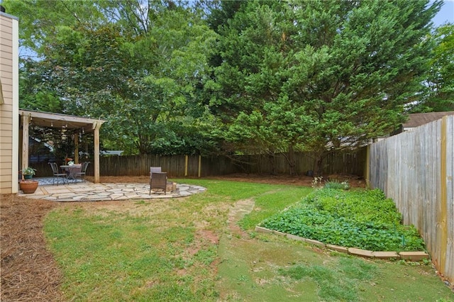 view of yard with a patio and a fenced backyard