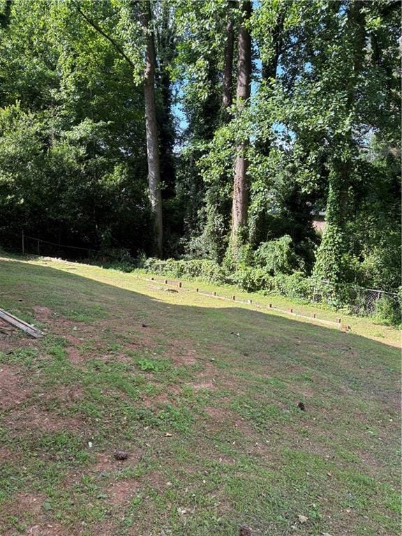 801 Needle Rock Dr, Stone Mountain, GA 30083 - view of yard