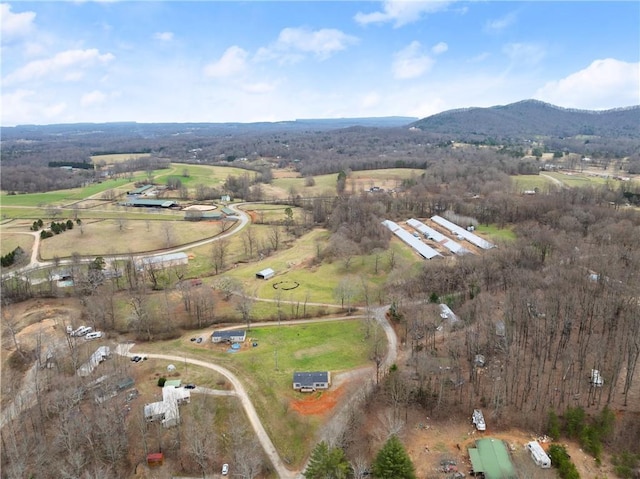 aerial view with a mountain view and a rural view