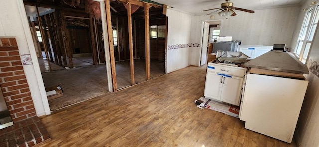 interior space with ornamental molding, light wood-type flooring, and a ceiling fan