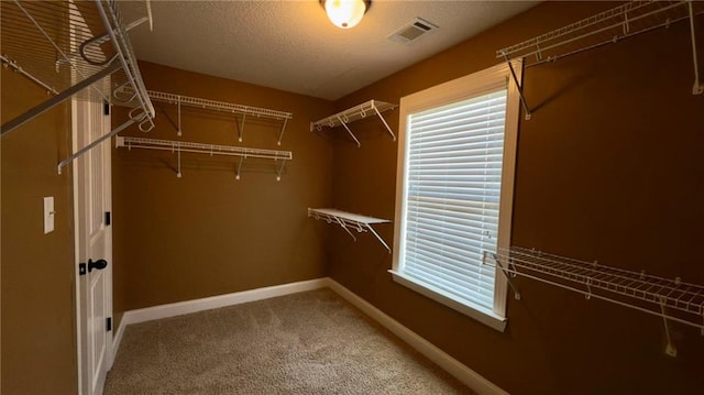 spacious closet featuring carpet floors and visible vents