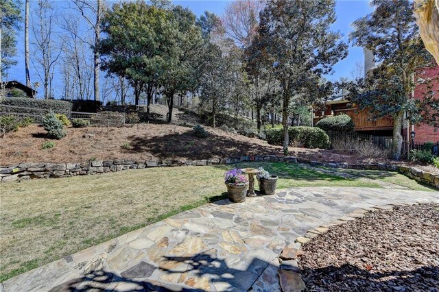 view of yard with a patio area