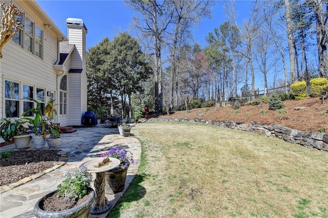 view of yard with a patio