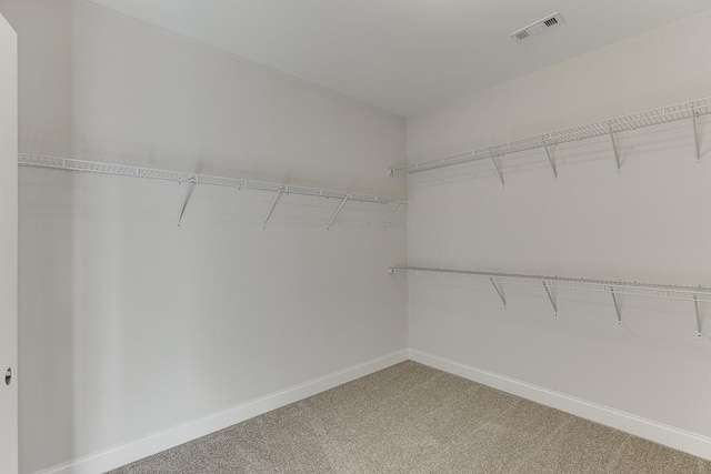 walk in closet featuring carpet