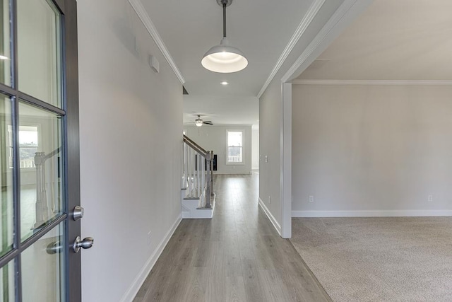 corridor featuring light hardwood / wood-style flooring and crown molding