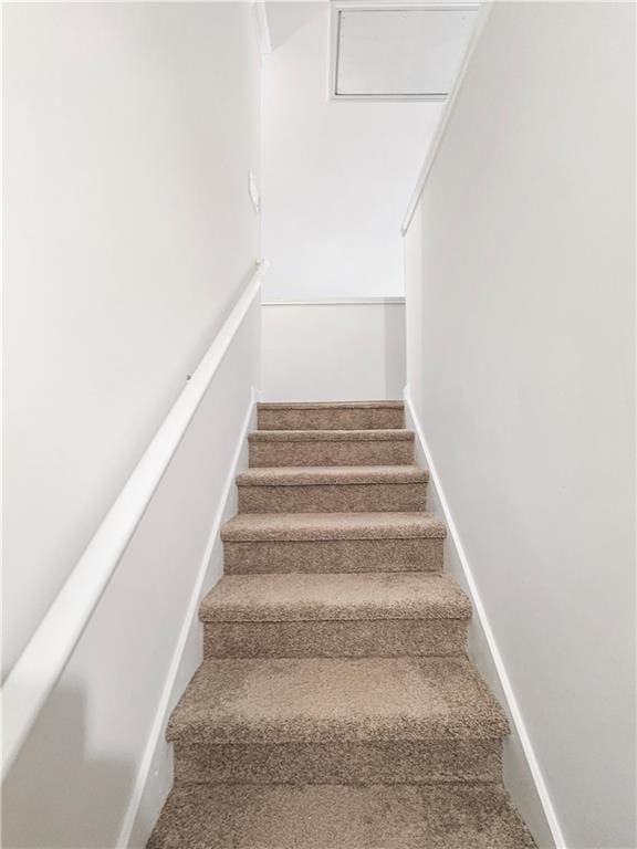 staircase featuring carpet floors