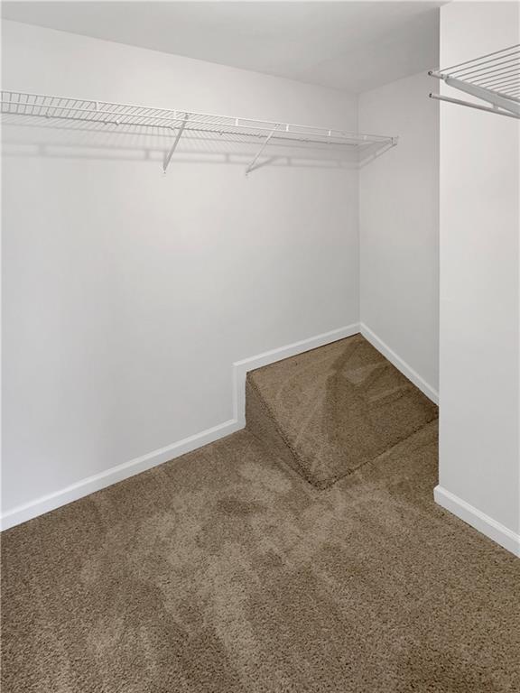 spacious closet with carpet