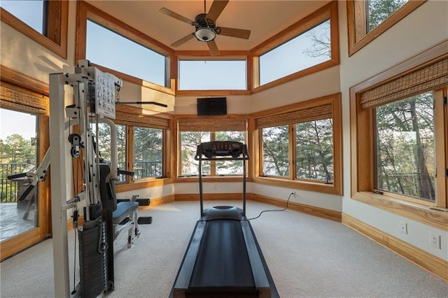 3406 Thunder Pt, Gainesville, GA 30506 - workout room featuring carpet, a towering ceiling, healthy amount of natural light, and a ceiling fan
