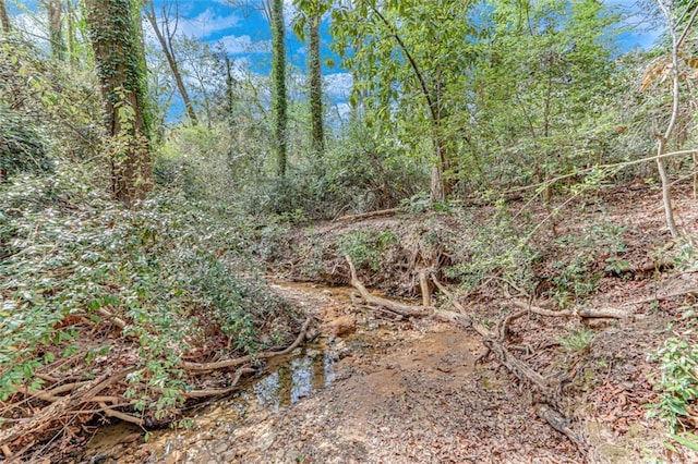 613 Holly Dr, Gainesville, GA 30501 - view of local wilderness with a forest view