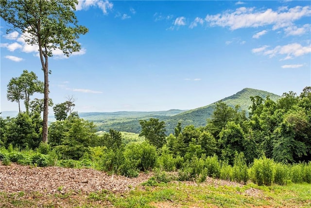 200 Villa Rd Unit 125, Jasper, GA 30143 - view of mountain background featuring a forest
