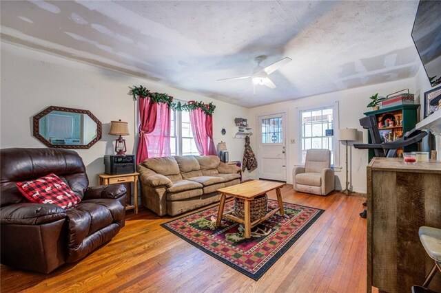 living room with ceiling fan and hardwood / wood-style floors