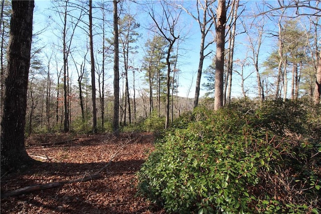 view of landscape