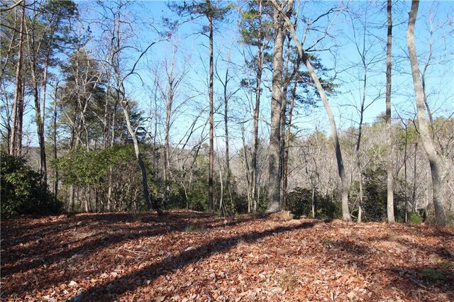 view of local wilderness featuring a forest view