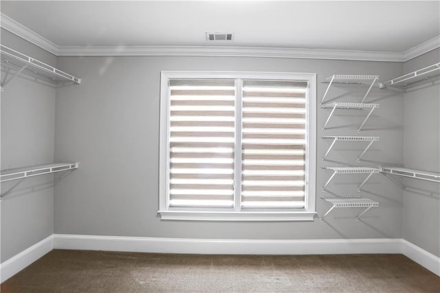 740 Creek Wind Ct, Duluth, GA 30097 - spacious closet featuring carpet flooring