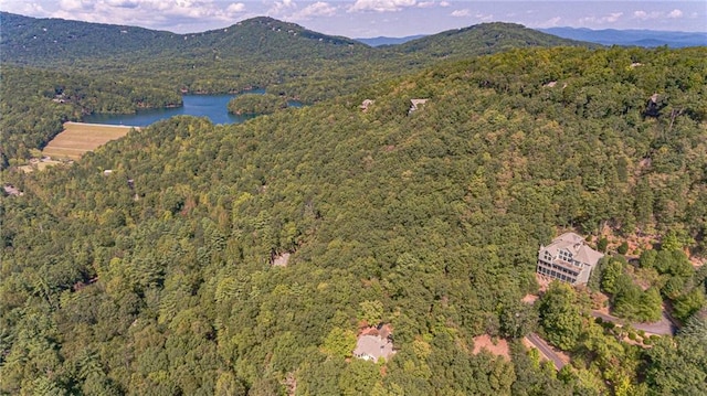 drone / aerial view featuring a water and mountain view