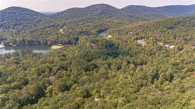 aerial view featuring a water and mountain view