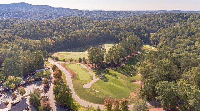 drone / aerial view featuring a mountain view