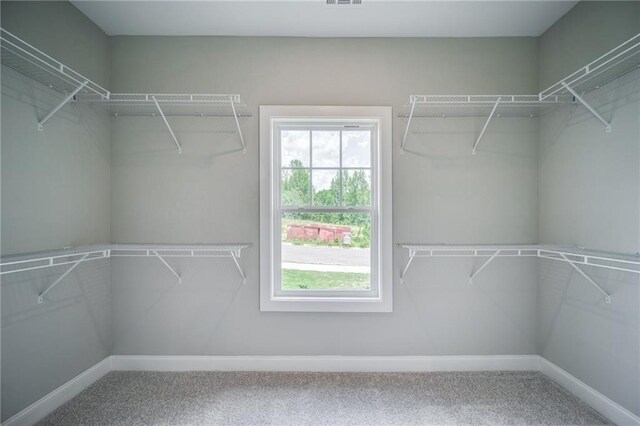 361 Creek Wood Park Dr, Ball Ground, GA 30107 - walk in closet featuring carpet
