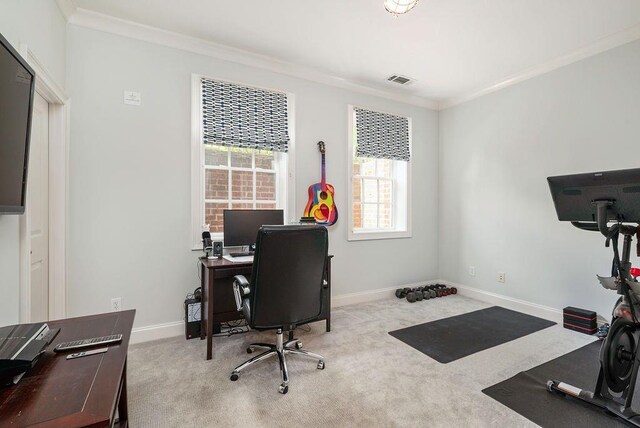 carpeted office space featuring ornamental molding and plenty of natural light