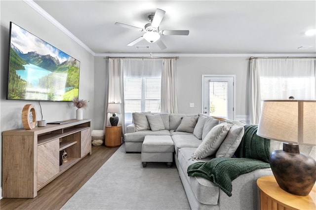 living room featuring wood-type flooring, ceiling fan, and ornamental molding