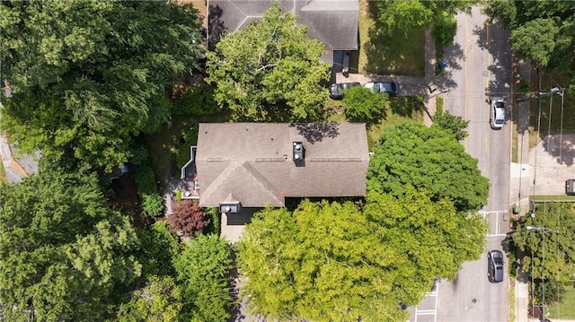 1003 N Ave NE, Atlanta, GA 30306 - view from above of property