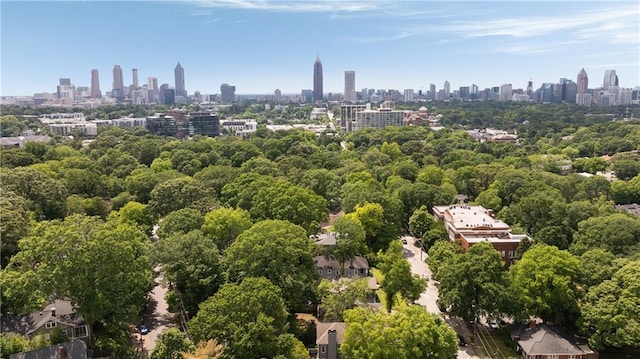 1003 N Ave NE, Atlanta, GA 30306 - aerial view of skyline