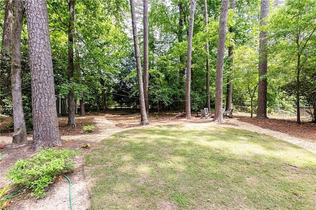 1443 Fama Dr NE, Atlanta, GA 30329 - view of grassy yard