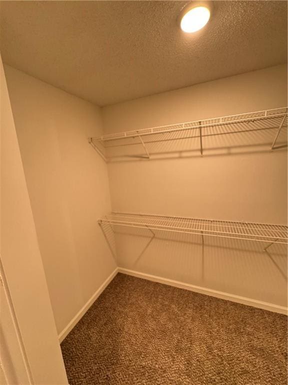 walk in closet with carpet floors