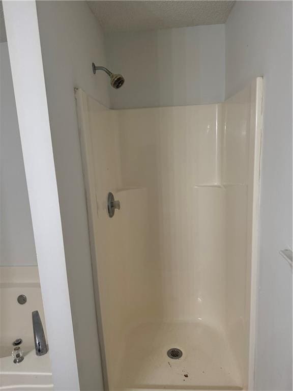 bathroom featuring a stall shower
