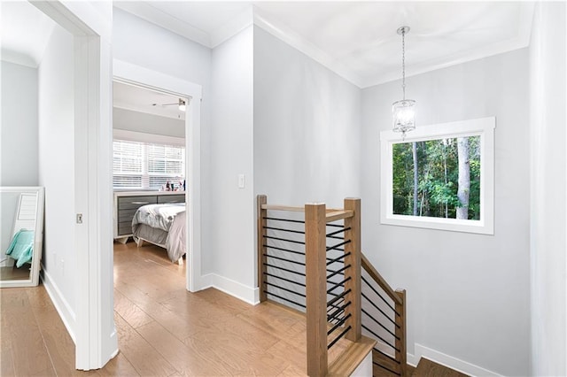 hallway with ornamental molding, a notable chandelier, plenty of natural light, and hardwood / wood-style flooring