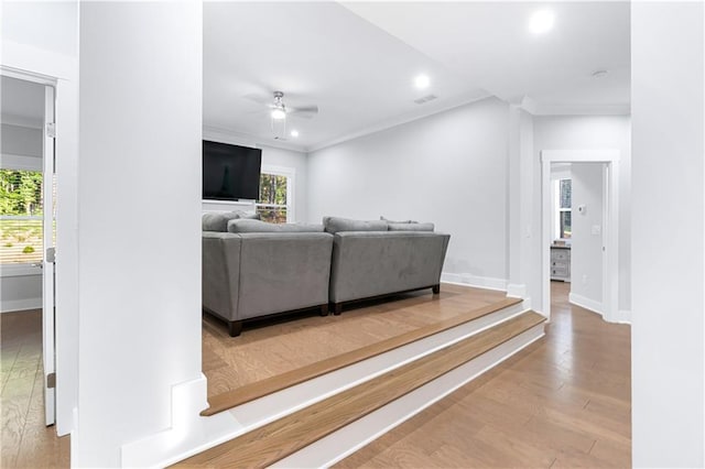 living room featuring ceiling fan, light wood-type flooring, and crown molding