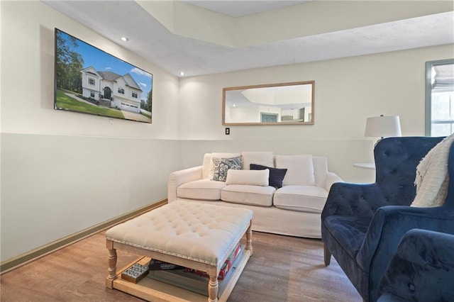 living room featuring wood-type flooring and a tray ceiling