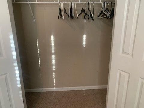 9590 English Ivy Ct, Fortson, GA 31808 - view of closet