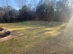 9590 English Ivy Ct, Fortson, GA 31808 - view of yard