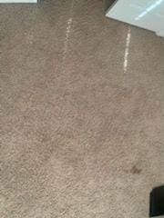 9590 English Ivy Ct, Fortson, GA 31808 - room details featuring speckled floor