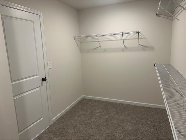 spacious closet featuring dark carpet